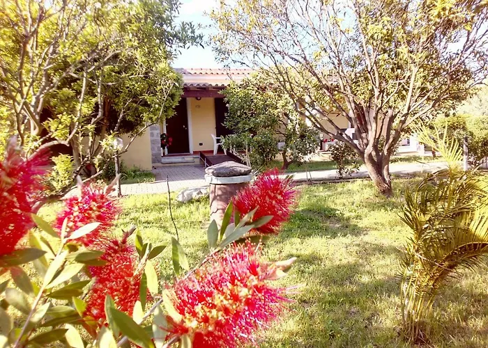 Su Pasu